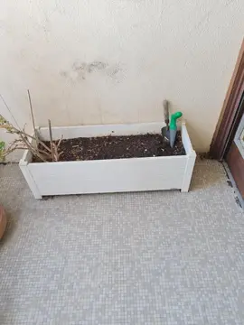Pot de fleur