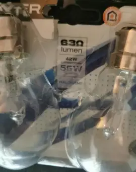 2 ampoules baïonnette 55W