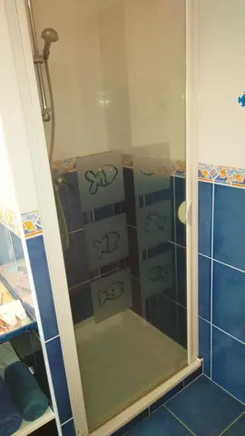 porte de douche en verre