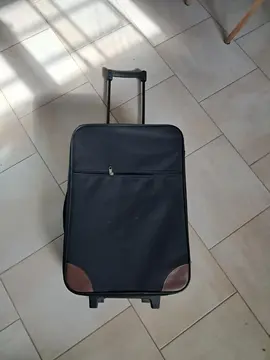 valise