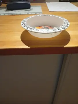 assiette indestructible