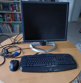 Ecran Dell (53 cm en diagonale) + clavier filaire et souris sans fil.