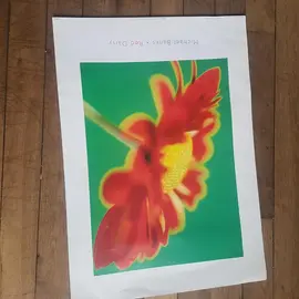 Affiche RED DAISY