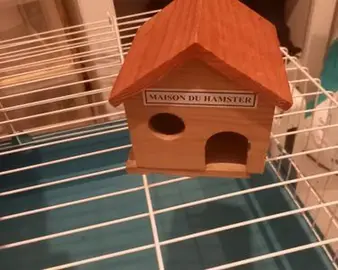 Maison en bois pour hamster russe
