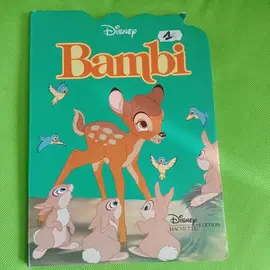 livre enfant en carton