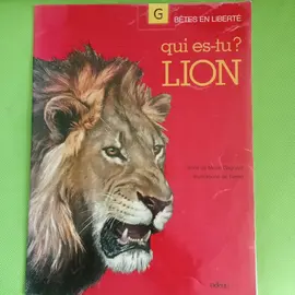livre enfant
