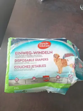couche chiens