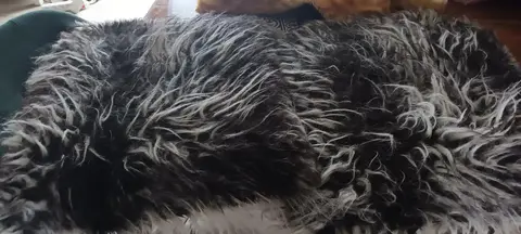 2 housses coussin fourrure