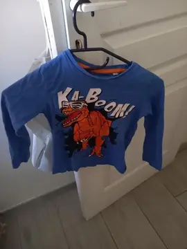 T -Hirt manche longue bleu et orange dessins dinosaure très bon état laver pour enfant garçon taille