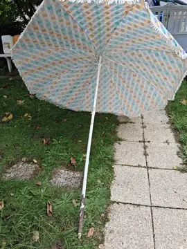 parasol