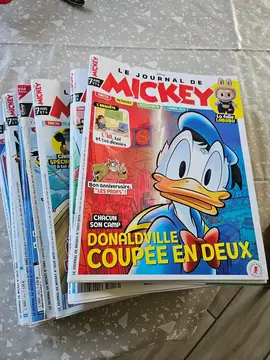 Donne lot de magazines Journal de Mickey