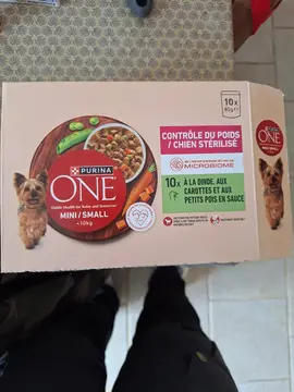 nourriture pour petit chien
