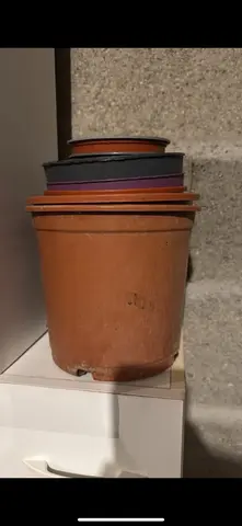 pot de fleur plastique
