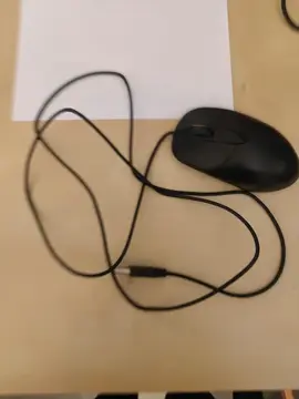 souris filaire
