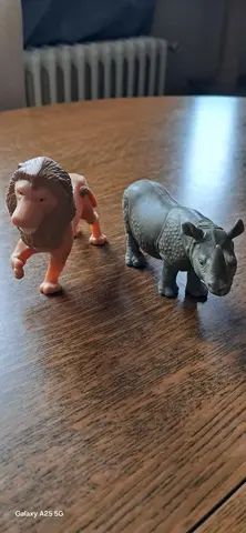 lion et rhinocéros