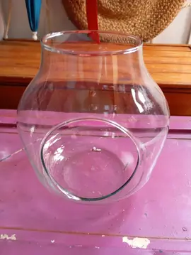 vase a cactées
