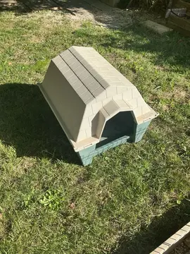 niche chien 70x57x55cm