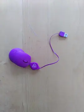Souris pour ordinateur