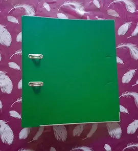 Gros classeur VERT A4 à 2 anneaux