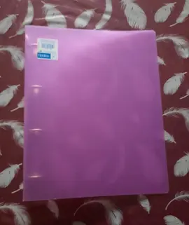 Classeur plastique ROSE A4 à 4 anneaux