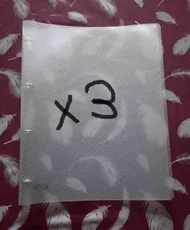 Classeur plastique fin BLANC A4 à 4 anneaux (x3)