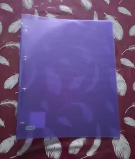 Classeur plastique fin VIOLET A4 à 4 anneaux