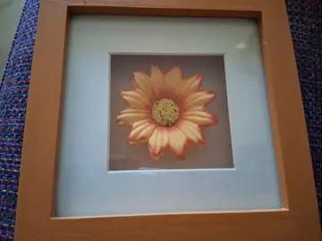Cadre déco fleur 13X13 cm, ep 3cm