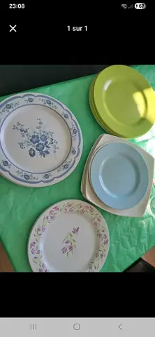 lots assiettes plastique