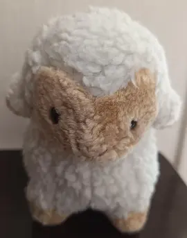 peluche