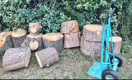 RONDINS DE BOIS