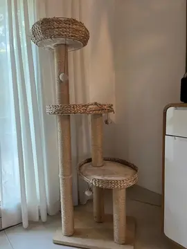 arbre a chat