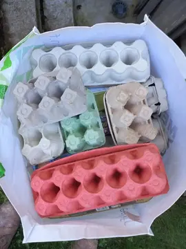 Une trentaine de boîtes (vides) de 12 oeufs. Venez avec des grands sacs !