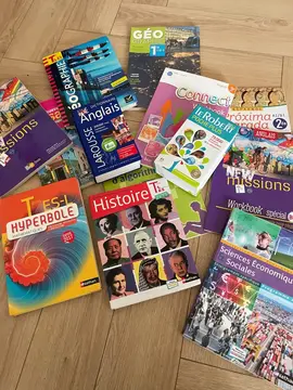 Manuels scolaires / dictionnaires