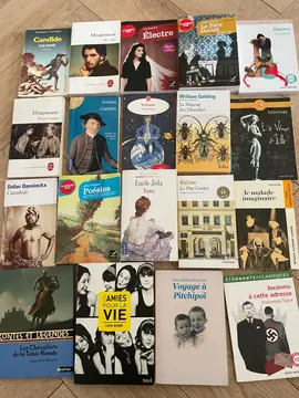 Lot 20 livres de poche