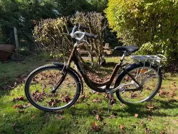 Vélo adulte