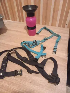 harnais pour petit et grand chien + gourde