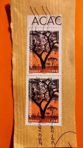 timbres oblitérés Acacia faux gommier