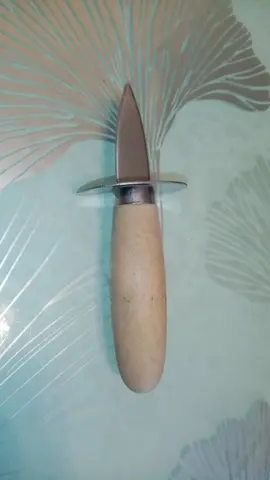 Couteau à huîtres