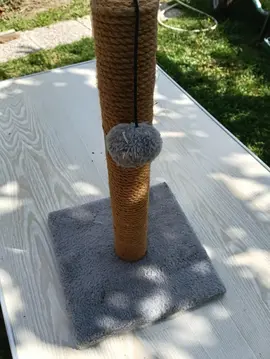 arbre à chat