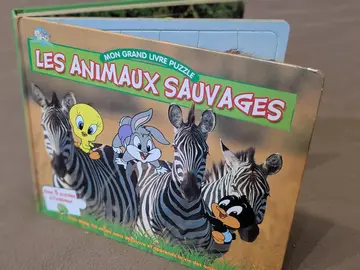 livre puzzle