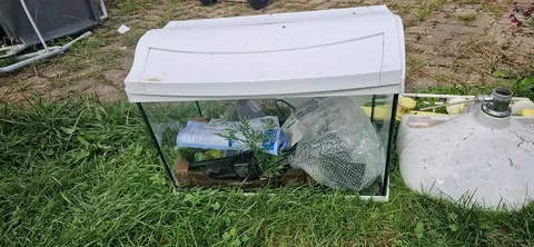 aquarium