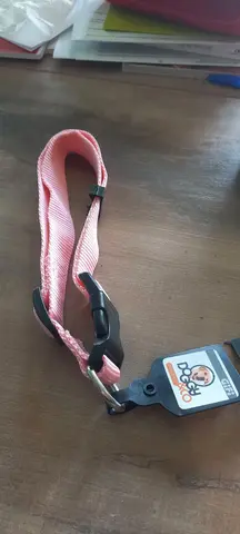 collier pour chien