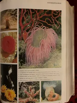 Encyclopédie de 1980 en 22 volumes
