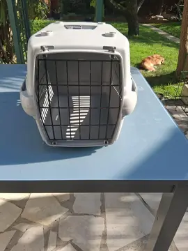caisse de transport chat