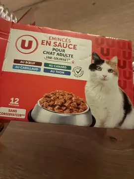pâté pour chat