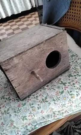nid en bois pour perruche ou Padda.