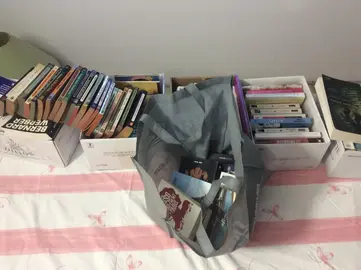 Lot de livres