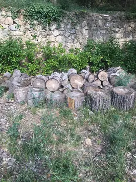 Donne bois de chauffage
