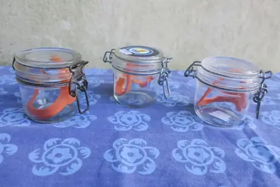 Lot de 3 petits BOCAUX dont 2 « Le PARFAIT »