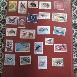 donne timère de collection annimaux 1lot 1envoie